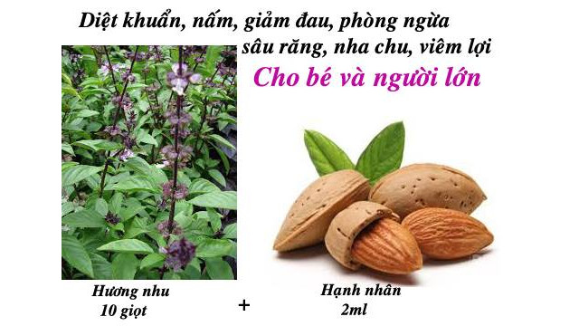 Giảm đau và hết viêm lợi với tinh dầu hương nhu và hạnh nhân