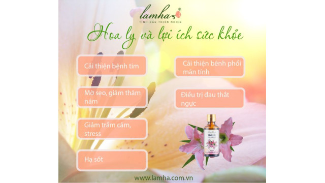 Hoa ly và lợi ích sức khỏe