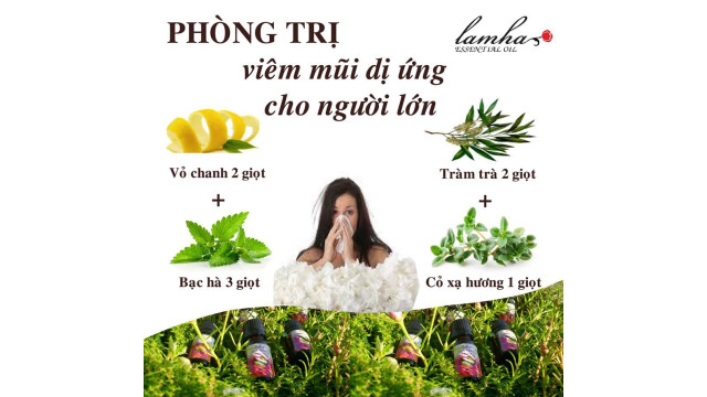 Hỗn hợp pha chế tinh dầu để chống viêm mũi dị ứng, sổ mũi, ngạt mũi