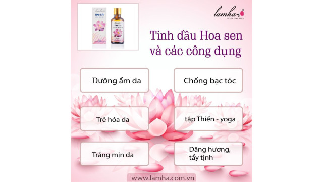 Tinh dầu hoa sen và công dụng