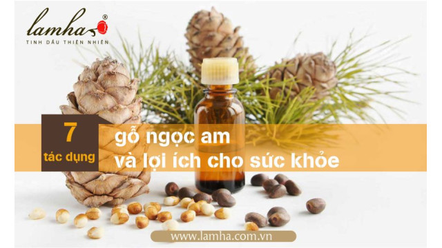 Tinh dầu gỗ ngọc am và sức khỏe